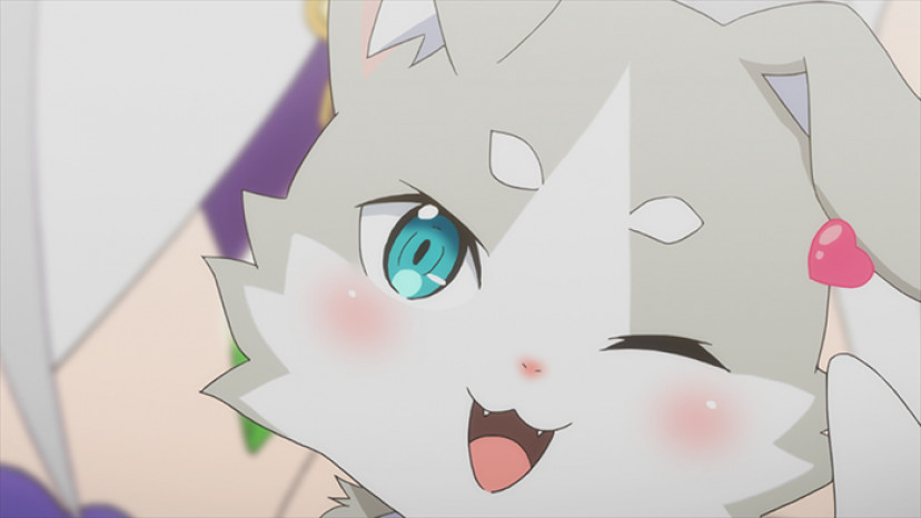 パック